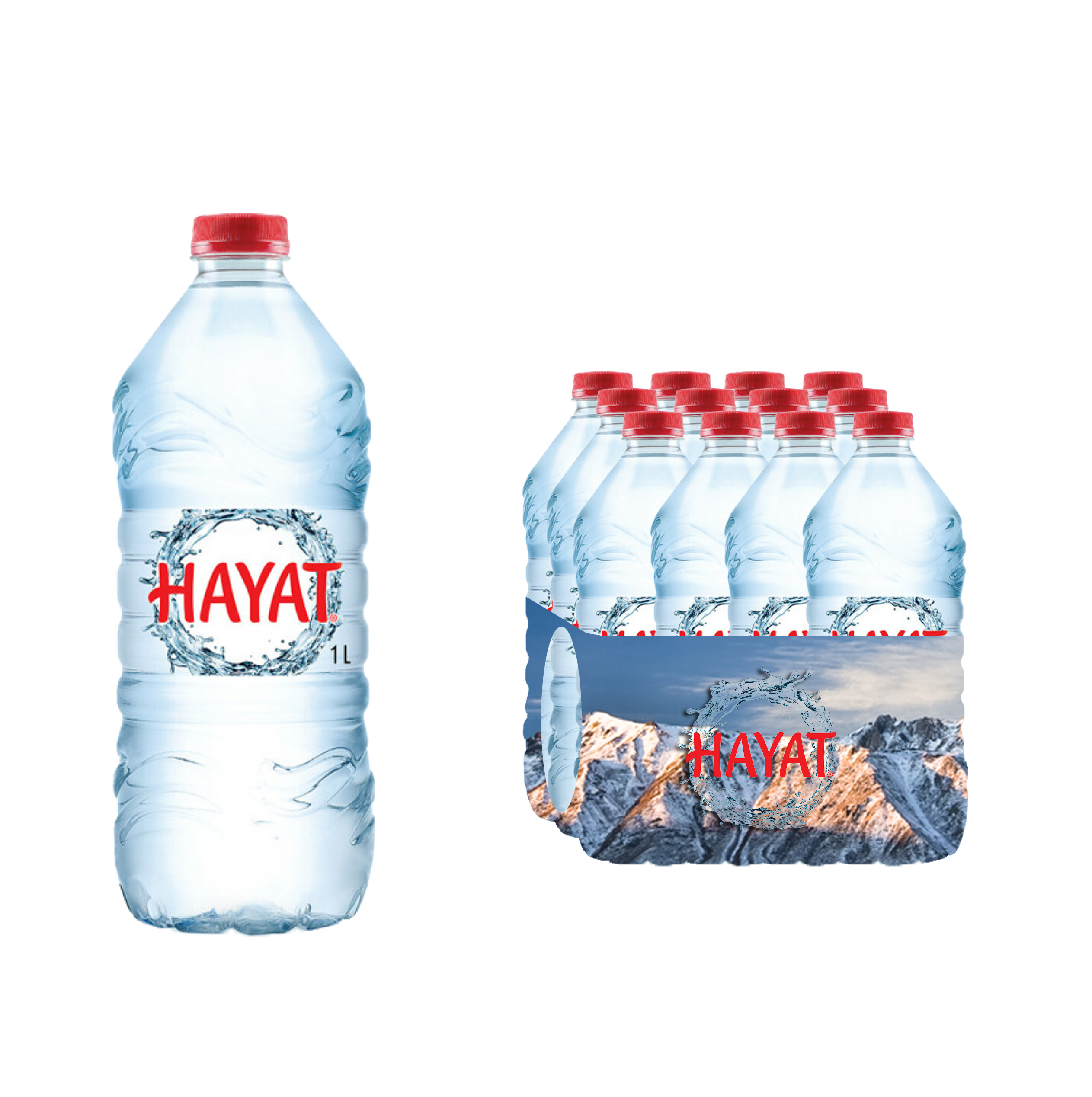 Hayat 1 lt