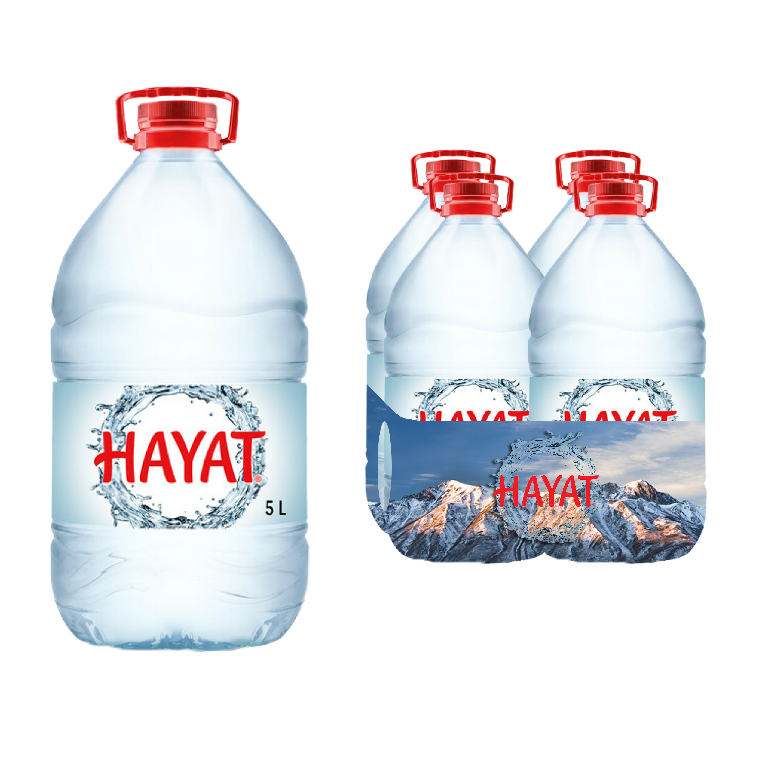 Hayat 5 lt